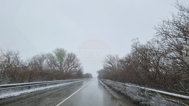 Пътищата в област Добрич са проходими при зимни условия