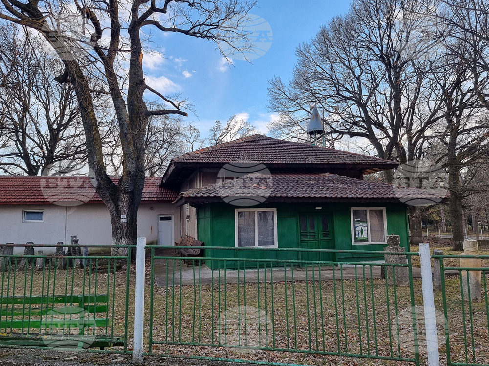 Два зимни дъба на повече от 340 години са символ на Лудогорци и неми пазители на историята на исперихското село