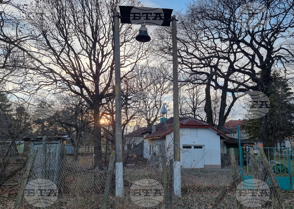 Разград - Лудогорци - вековни дървета