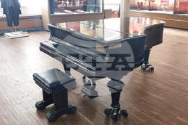 Плевен  - музей - Катя Попова