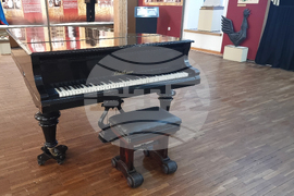 Плевен  - музей - Катя Попова