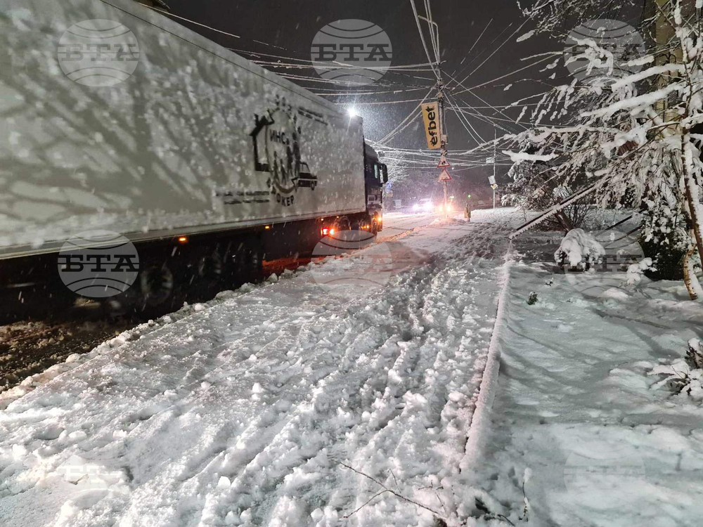 Петрич - зима - обстановка