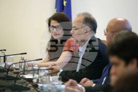 Министерски съвет - Калина Константинова - заседание