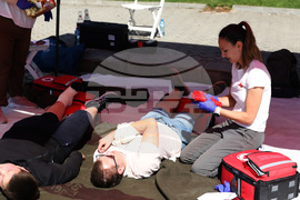 Ден на безопасността на движението по пътищата - демонстрации