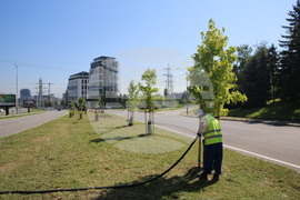 Зелени решения - проверка