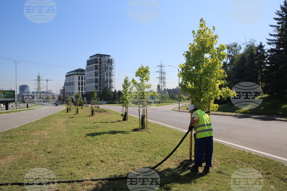Зелени решения - проверка