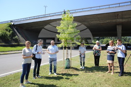 Зелени решения - проверка