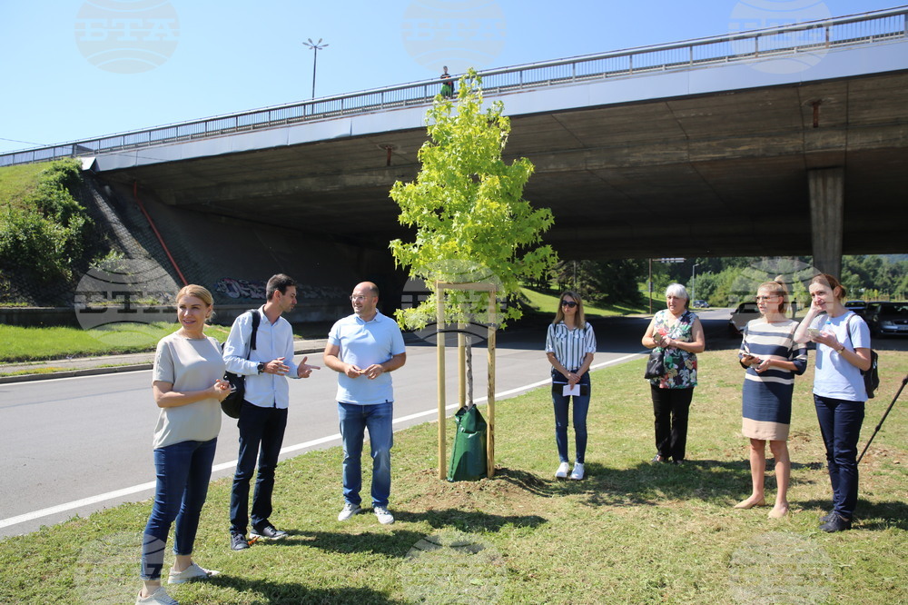 Зелени решения - проверка