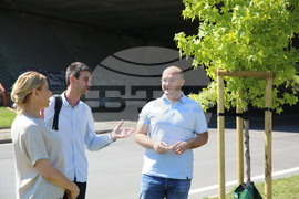 Зелени решения - проверка