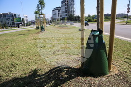 Зелени решения - проверка