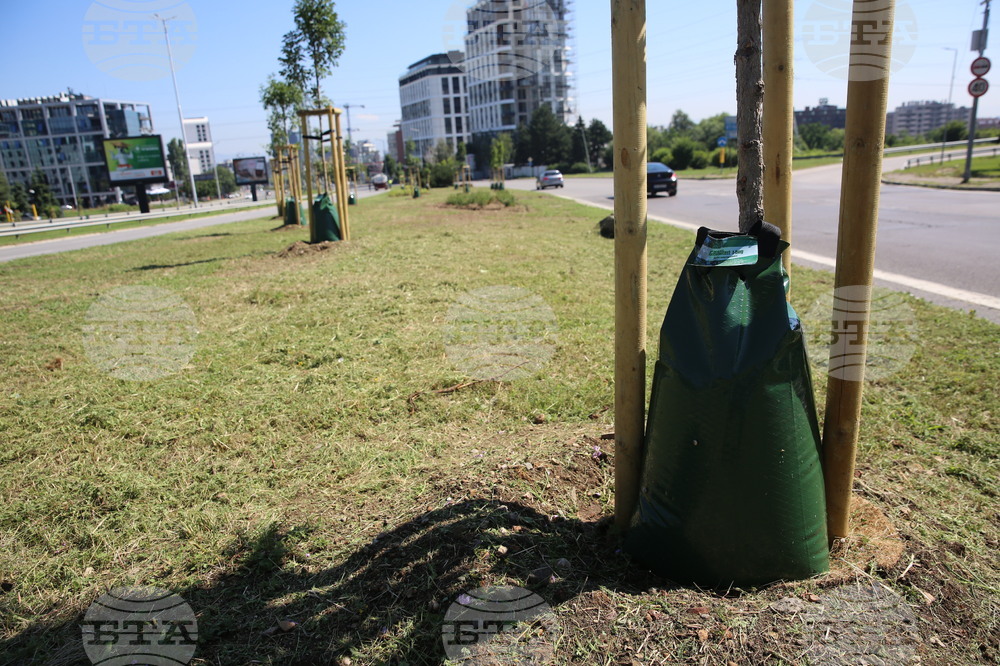 Зелени решения - проверка