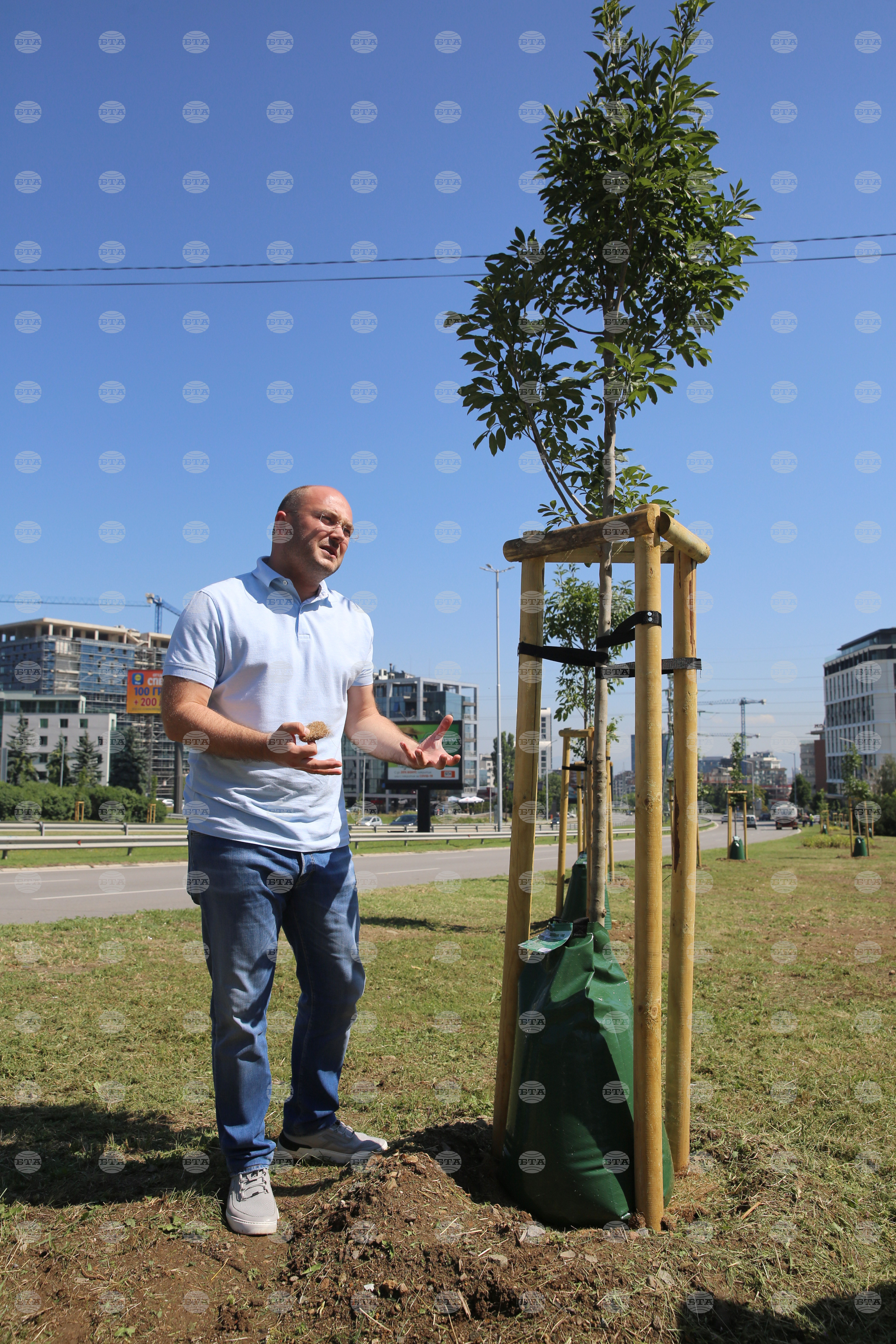 Зелени решения - Георги Георгиев - проверка