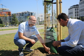 Зелени решения - проверка