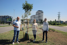 Зелени решения - проверка