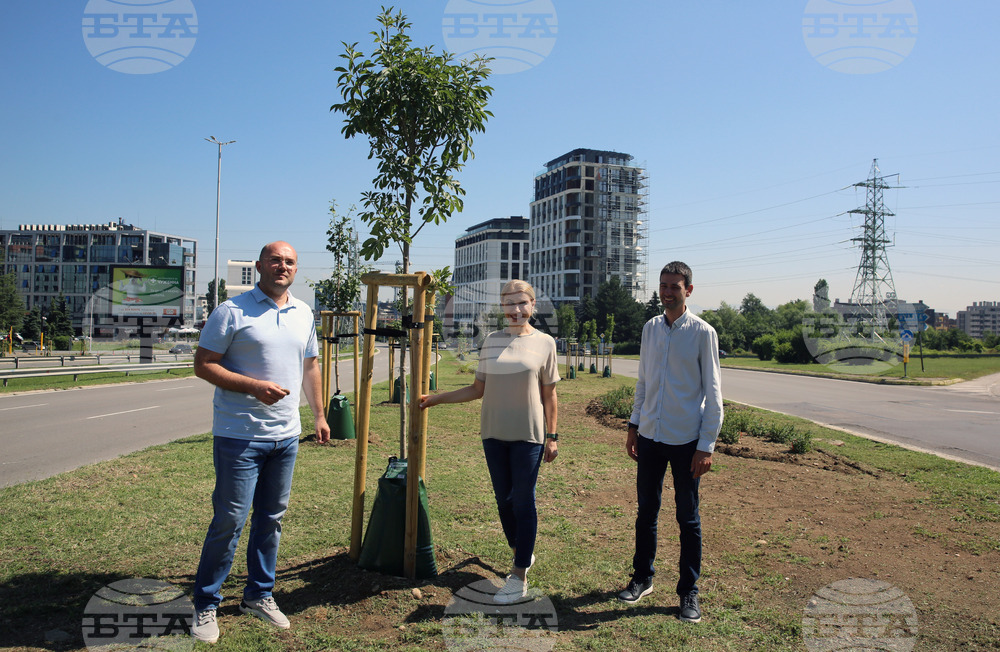 Зелени решения - проверка