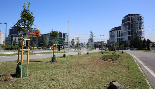 Зелени решения - проверка