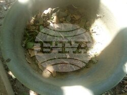 Снимка: Община Благоевград