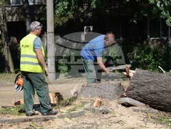 Снимка: Община Видин