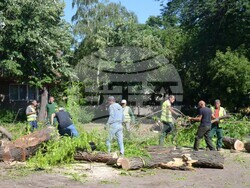 Снимка: Община Видин