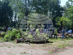 Снимка: Община Видин