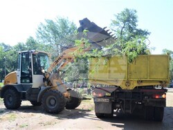 Снимка: Община Видин