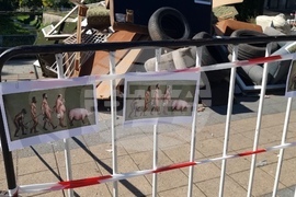 Плевен - отпадъци - арт инсталация