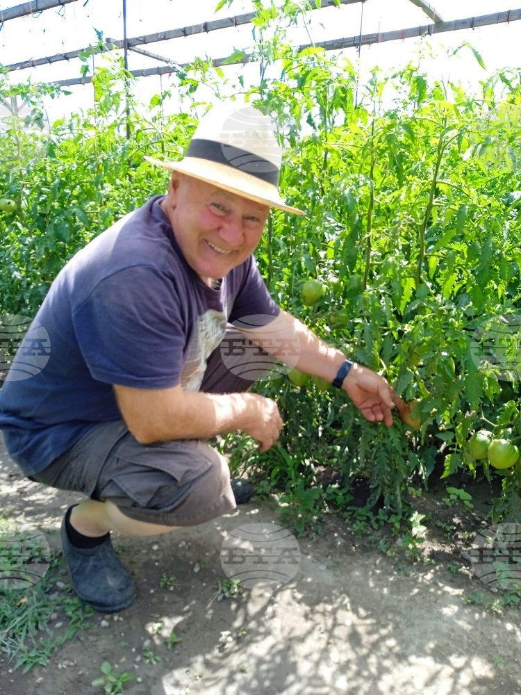 Наши сънародници отглеждат българска зеленчукова градина в Словакия