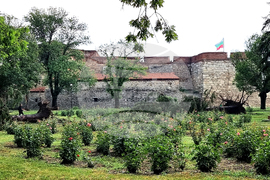 Видин - буря - разчистване