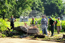 Видин - буря - разчистване