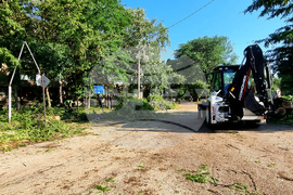 Видин - буря - разчистване