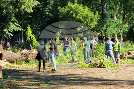 Видин - буря - разчистване