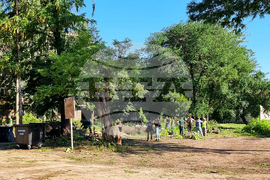 Видин - буря - разчистване