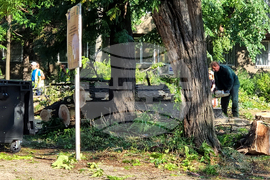 Видин - буря - разчистване