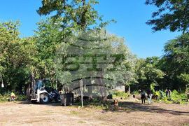 Видин - буря - разчистване