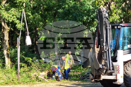 Видин - буря - разчистване