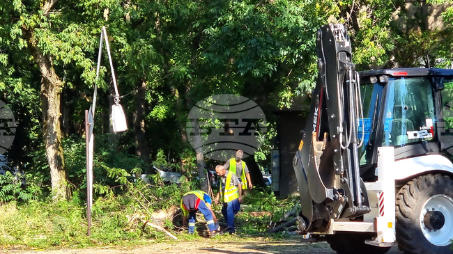 Видин - буря - разчистване