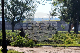 Видин - буря - разчистване