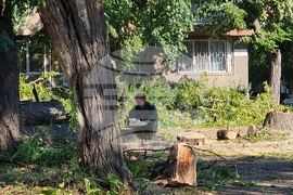 Видин - буря - разчистване