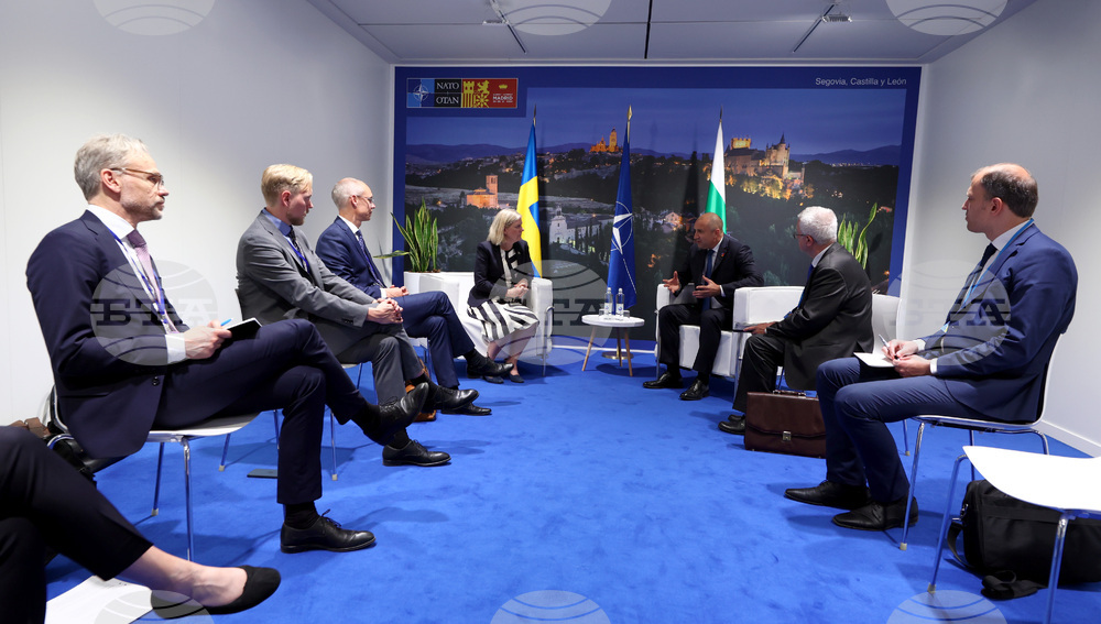 Испания - Румен Радев - Магдалена Андершон - среща