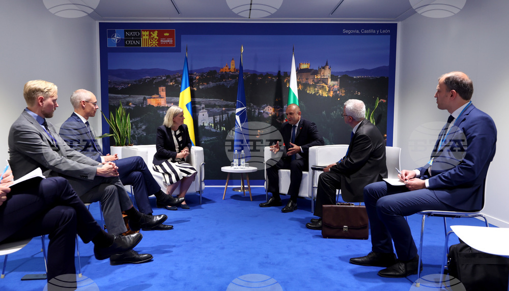 Испания - Румен Радев - Магдалена Андершон - среща