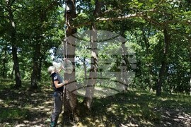 Село Калоянци - прилепи - проучване 