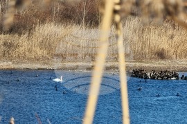 Село Мечкарево - Мечкаревски дупки - изглед