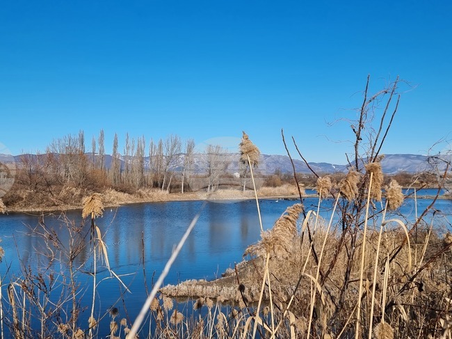 Село Мечкарево - Мечкаревски дупки - изглед