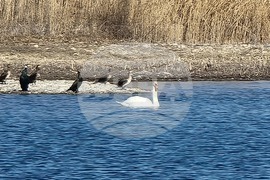Село Мечкарево - Мечкаревски дупки - изглед