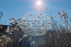 Село Мечкарево - Мечкаревски дупки - изглед