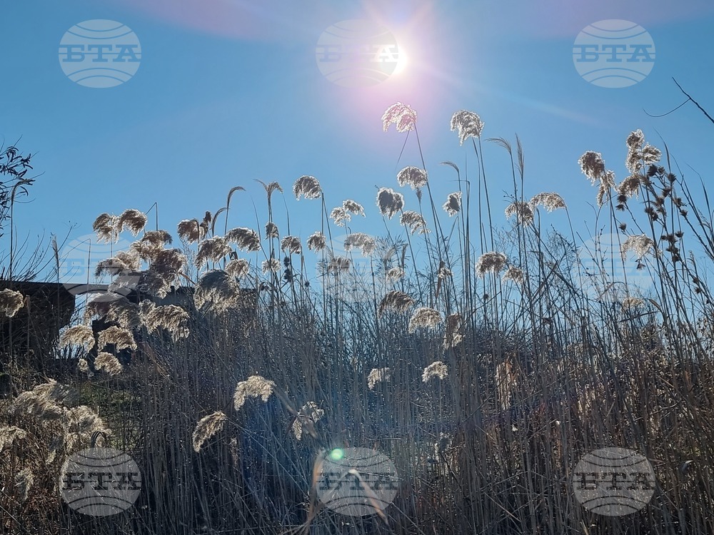 Село Мечкарево - Мечкаревски дупки - изглед