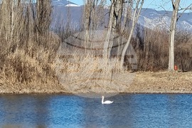 Село Мечкарево - Мечкаревски дупки - изглед