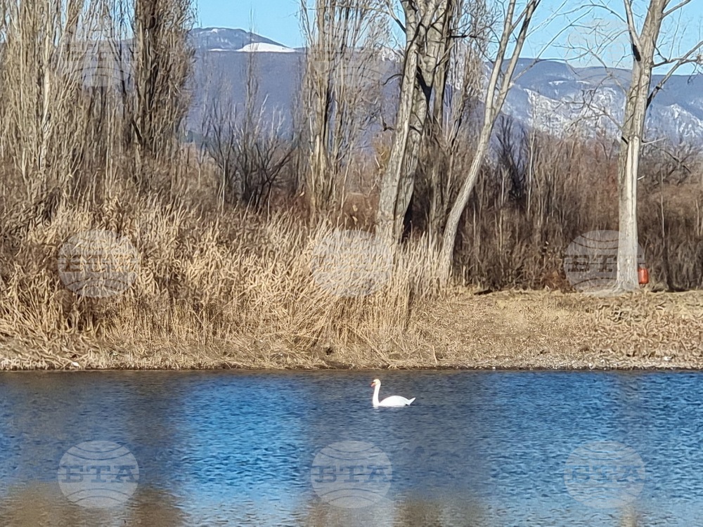 Село Мечкарево - Мечкаревски дупки - изглед