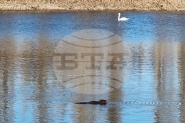 Село Мечкарево - Мечкаревски дупки - изглед