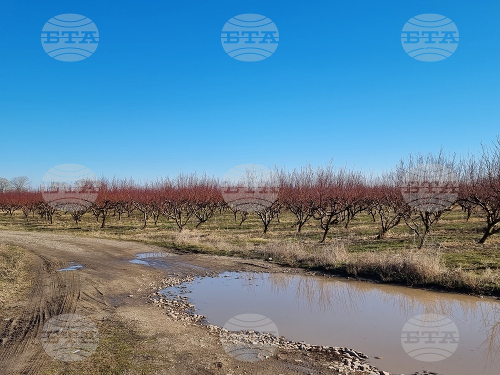 Село Мечкарево - Мечкаревски дупки - изглед